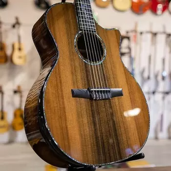 Taylor PS14ce-N Honduran Rosewood/Sinker Redwood Grand Auditorium - Deluxe Hardshell Case