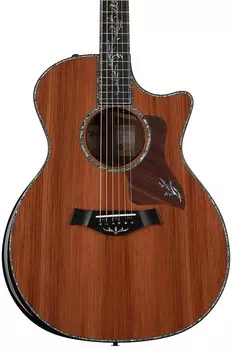 Taylor PS14ce - натуральный гондурасский палисандр GPS1002111003880158