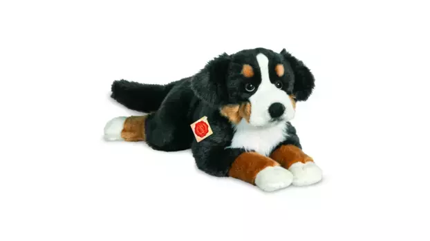 Тедди-герман бернский зенненхунд 60 см