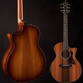 Тейлор PS14ce Гондурасский палисандр 027 Taylor PS14ce Honduran Rosewood