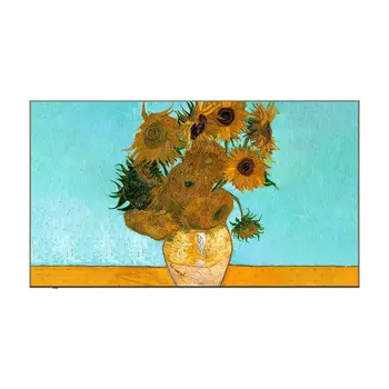 Телевизор Skyworth A7E Pro, 65", 4K Ultra HD, Mini LED, 288 Гц, черный