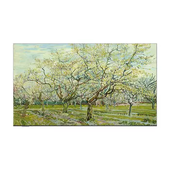 Телевизор Skyworth W55D, 55", 4K Ultra HD, Direct LED, 120 Гц, белый