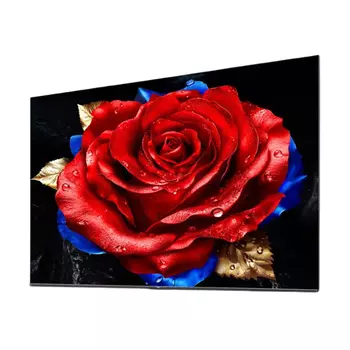 Телевизор TCL 55T5L-JN, 55", 4K, QLED, 240 Гц, черный