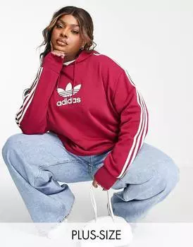 Темно-бордовая худи с трилистником adidas Originals Plus 'centre stage'