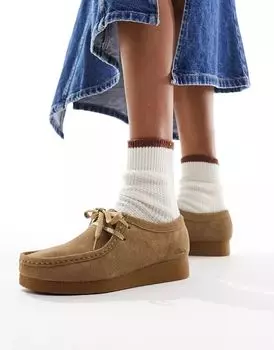 Темно-коричневые замшевые туфли Clarks Wallabee Evo