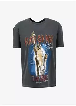 Темно-серая мужская футболка с принтом DM0DM18282PUB Tommy Jeans, серый