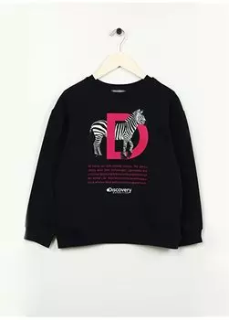 Темно-синий свитшот для девочек с принтом D3WG-SWT23 Discovery Expedition, темно-синий