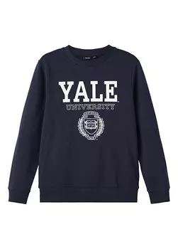 Темно-синий свитшот с принтом для мальчика NLNAMEL UNIVERSITY SWEAT BRU PARK Lmtd, темно-синий