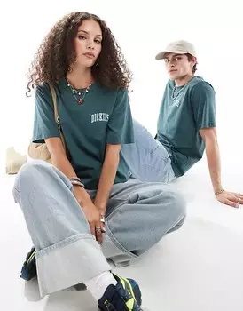 Темно-зеленая и голубая футболка с логотипом на левой стороне груди Dickies aitken