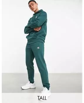 Темно-зеленые джоггеры adidas Originals Tall essentials