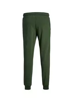 Темно-зеленые мужские спортивные штаны Slim Fit 12178421_JPSTGORDON JJNEWSOFT SWEAT Jack & Jones
