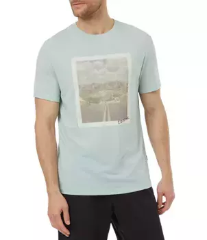 Tentree Мужская винтажная футболка с короткими рукавами и графическим рисунком, цвет Surf Spray/Desert Road