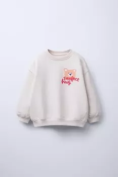 Теплая толстовка с принтом ZARA, серый