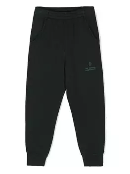 The Animals Observatory спортивные брюки Draco с логотипом, зеленый