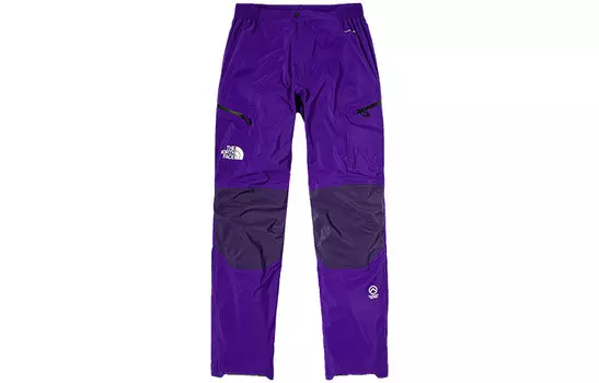 THE NORTH FACE Лыжные брюки унисекс, цвет Purple