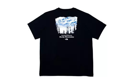 THE NORTH FACE Мужская футболка, Черный