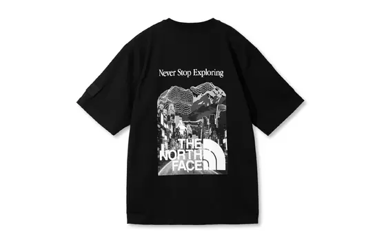 THE NORTH FACE Мужская футболка, цвет Black