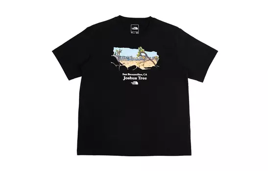 THE NORTH FACE Мужская футболка, цвет Black