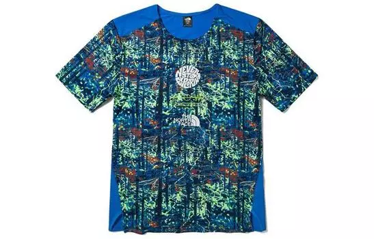 THE NORTH FACE Мужская футболка, цвет Blue