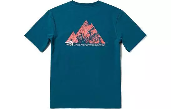 THE NORTH FACE Мужская футболка, цвет Blue