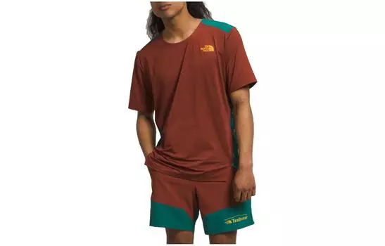 THE NORTH FACE Мужская футболка, цвет Brown