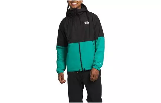 THE NORTH FACE Мужская куртка, цвет Black