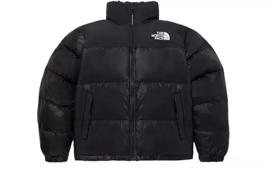 THE NORTH FACE Мужская куртка, цвет Black
