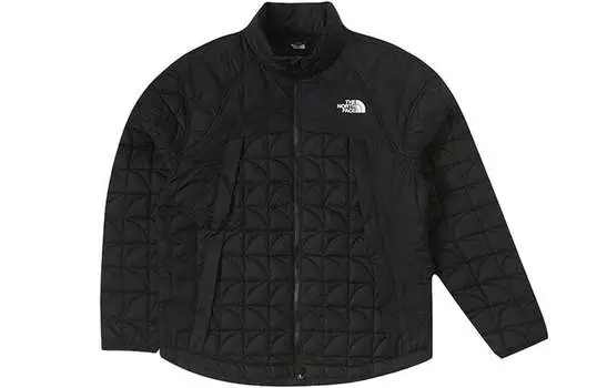 THE NORTH FACE Мужская куртка, цвет Black