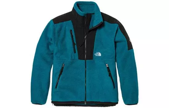 THE NORTH FACE Мужская куртка, цвет Blue
