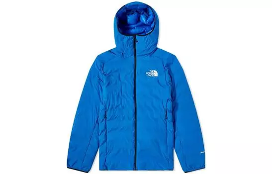 THE NORTH FACE Мужская куртка, цвет Blue