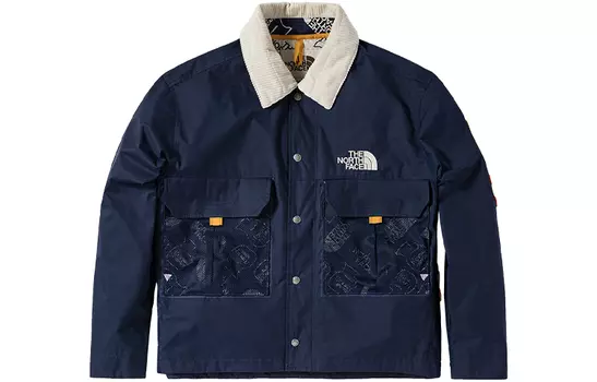 THE NORTH FACE Мужская куртка, цвет Blue