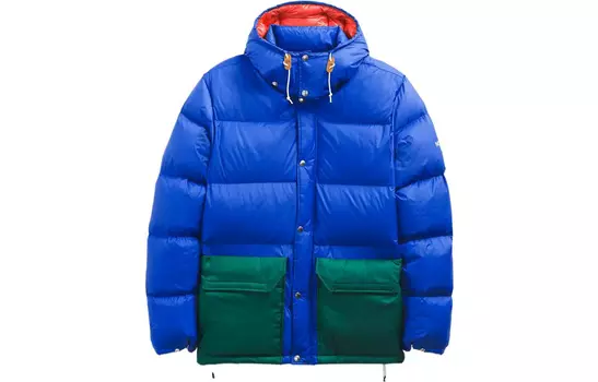 THE NORTH FACE Мужская куртка, цвет Blue