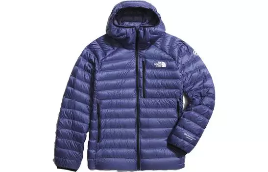 THE NORTH FACE Мужская куртка, цвет Blue