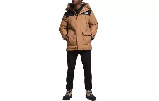 THE NORTH FACE Мужская куртка, цвет Brown