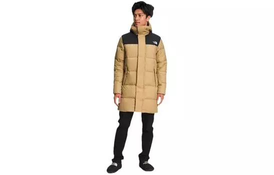 THE NORTH FACE Мужская куртка, цвет Brown