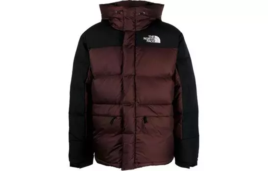 THE NORTH FACE Мужская куртка, цвет Coal brown