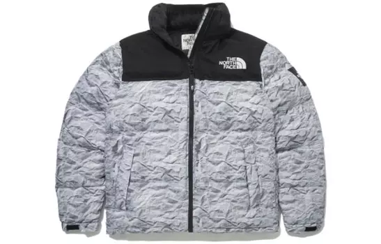 THE NORTH FACE Мужская куртка, серый