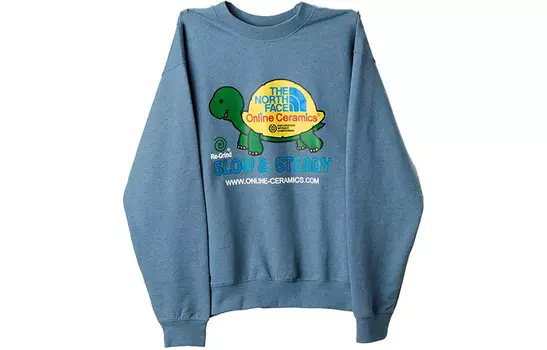 THE NORTH FACE Мужская толстовка, цвет Blue