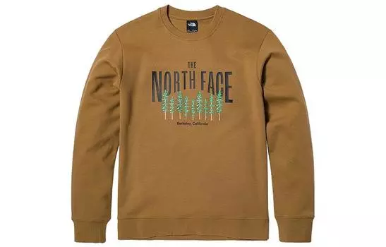 THE NORTH FACE Мужская толстовка, цвет Brown