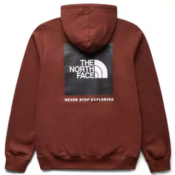 THE NORTH FACE Мужская толстовка, цвет Chestnut