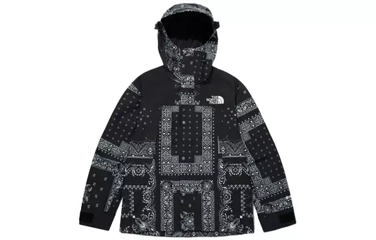 THE NORTH FACE Мужская уличная куртка, цвет Black