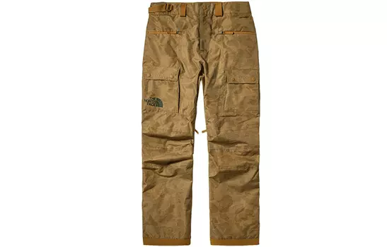 THE NORTH FACE Мужские брюки Hard Shell, цвет Brown