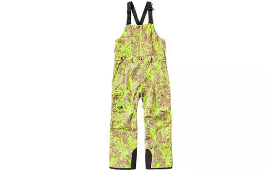 THE NORTH FACE Мужские брюки Hard Shell, цвет Brown