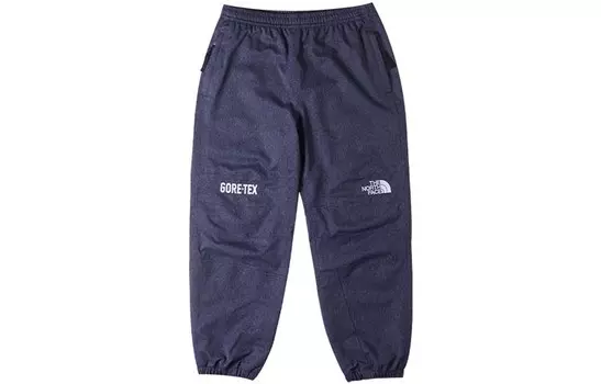 THE NORTH FACE Мужские брюки Hard Shell, цвет Blue