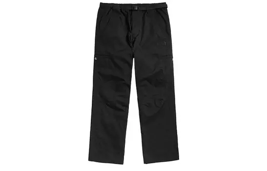 THE NORTH FACE Мужские брюки-карго, цвет Black