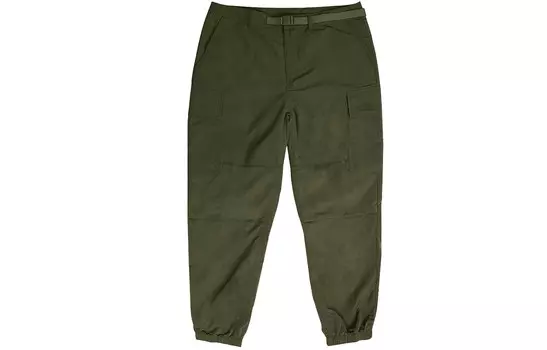 THE NORTH FACE Мужские брюки-карго, цвет Army Green