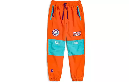 THE NORTH FACE Мужские лыжные брюки, цвет Orange