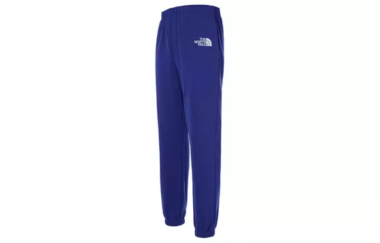 THE NORTH FACE Мужские повседневные брюки, цвет Blue