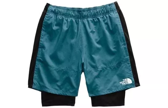 THE NORTH FACE Мужские повседневные шорты, цвет Blue