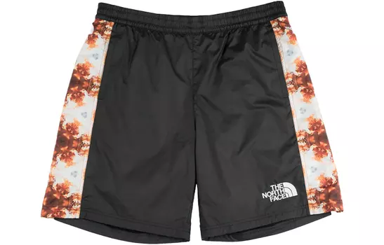 THE NORTH FACE Мужские повседневные шорты, цвет Black